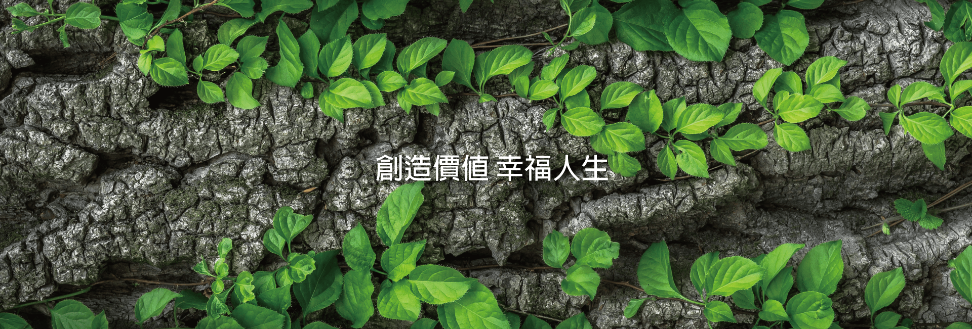 創造價值 幸福人生